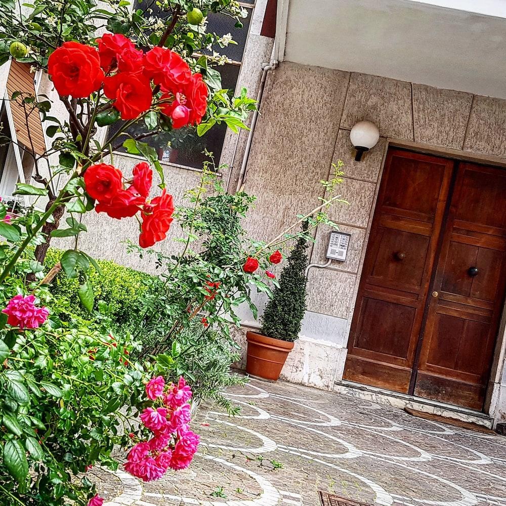 روما B&B Aurelia Garden Rooms المظهر الخارجي الصورة